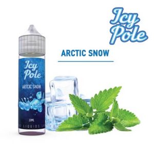 Artic Snow Icy Pole